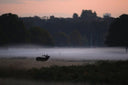 En dreng bliver til mand i Letland