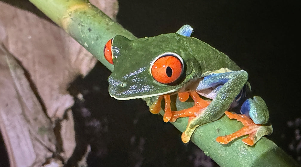 Costa Rica
