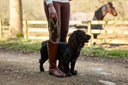 Connemara Knee High Riding Boot, nutshell brun