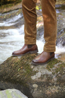 Stride mens fløjlsbukser, whisky m. stretch