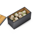 Sjostrand Capsule Case, kapselboks, sort