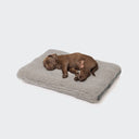 Hundeseng Siesta Teddy, en fluffy drøm!