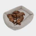 Hundeseng Sleepy Deluxe Teddy