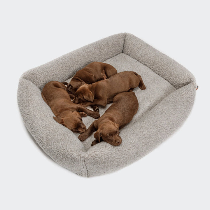 Hundeseng Sleepy Deluxe Teddy