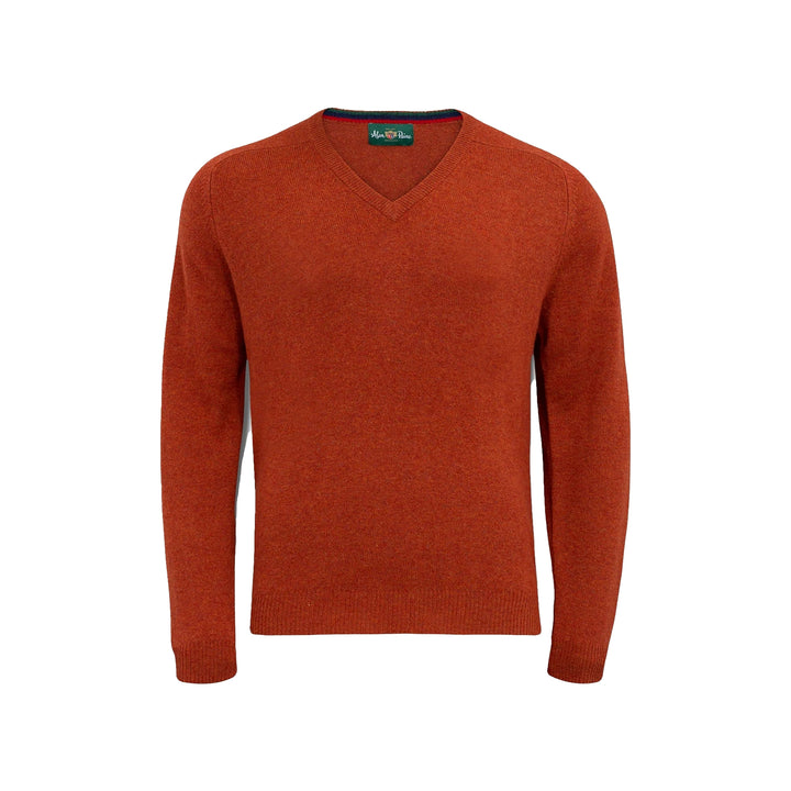 Streetly pullover, tiger, v-hals classic fit, herre, lammeuld