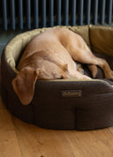 Buster tweed hundeseng