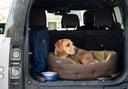 Buster tweed hundeseng