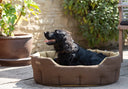 Buster tweed hundeseng