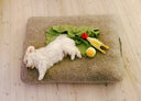 Hundeseng Siesta Teddy, en fluffy drøm!