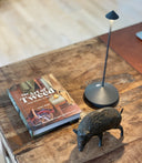Pina batteridrevet bordlampe (flere farvemuligheder)