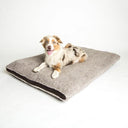 Hundeseng Siesta Teddy, en fluffy drøm!