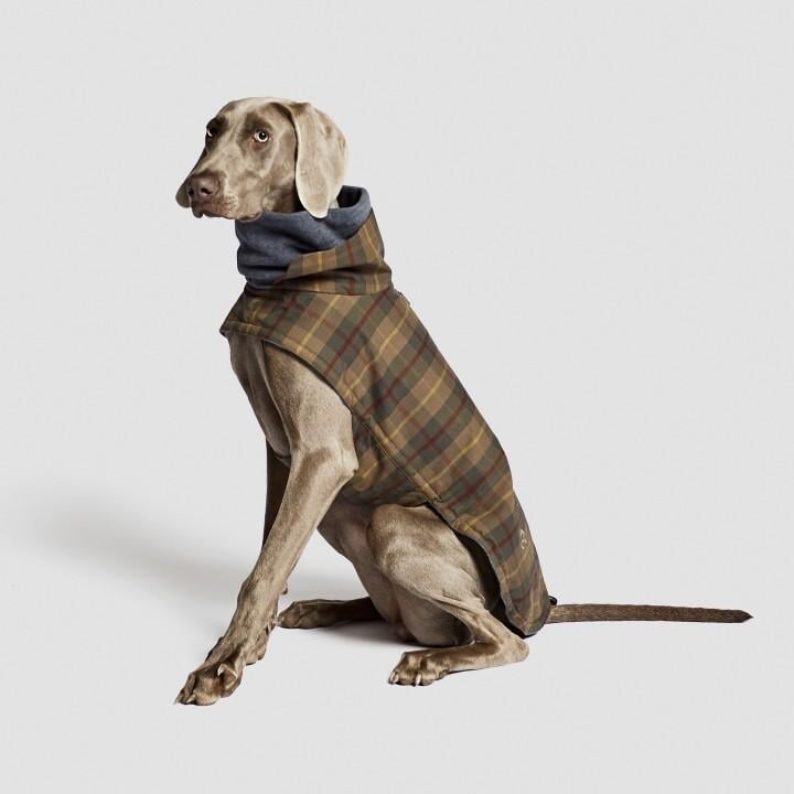 Hundejakke Brooklyn med oilskin, tartan tern