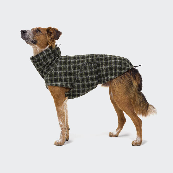 Hundejakke Glasgow, grønsort plaid