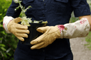 Bradleys Floral havehandsker, pink (sæt), læder/lærred